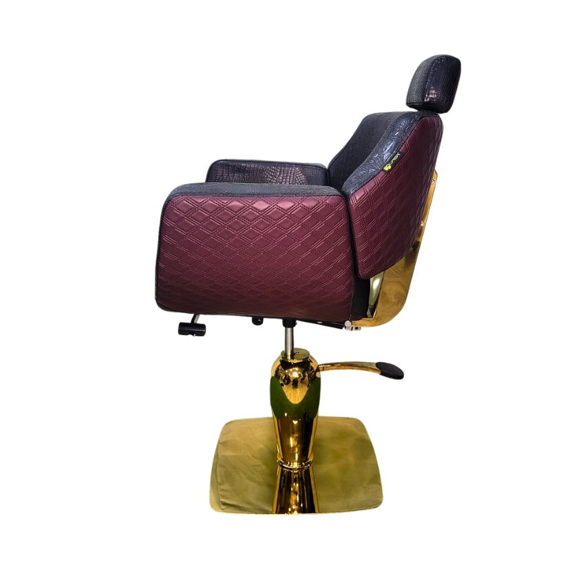 Casa Barber Chair Series Black Vine (Model CS1040)