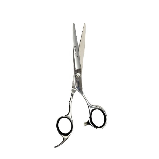Ayty Pro Classic Scissor 5.5