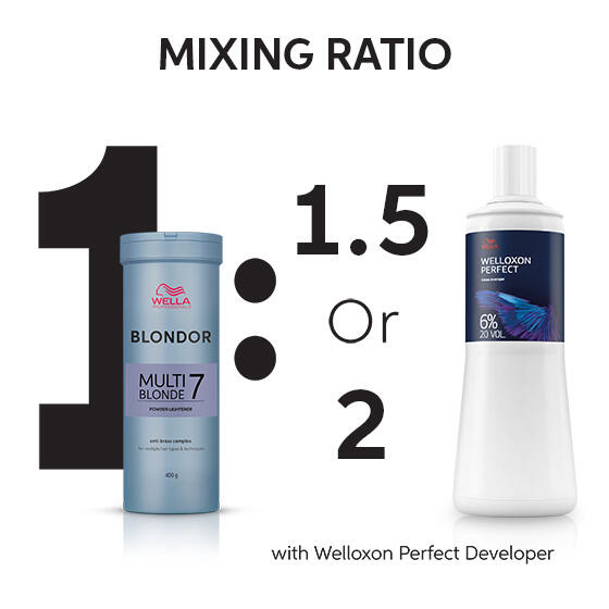 Wella Blondor Plex H パウダーライトナー 400g×5 Wella Blondor Plex H パウダーライトナー 400g×5 Blondor Multi