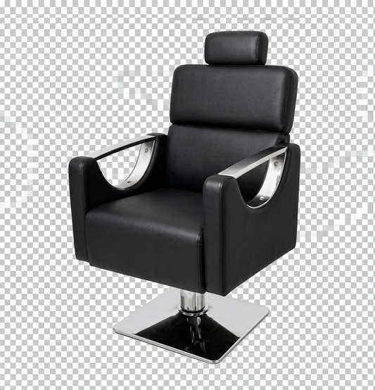 Casa CS 1121 / G Reclining Salon Chair