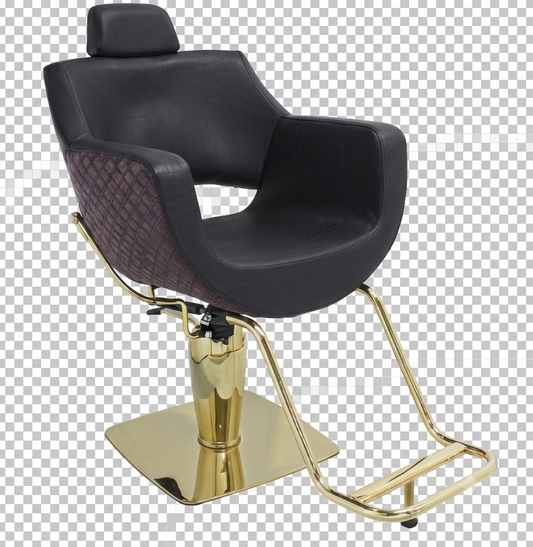 Casa Barber Chair Series - Black Vine (Model CS1040)
