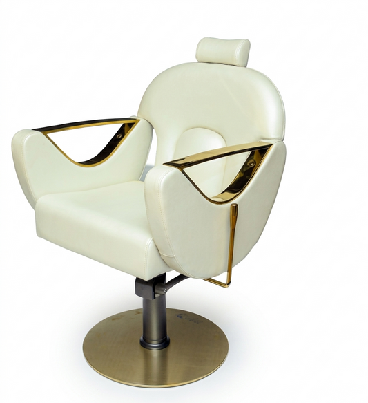 Casa CS 1050-G Reclining Unisex Chair – Premium Salon Chair