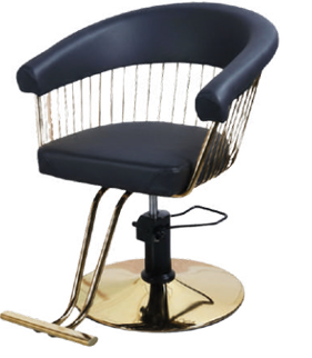 Casa CS 1163 G Fixed Back Salon Chair