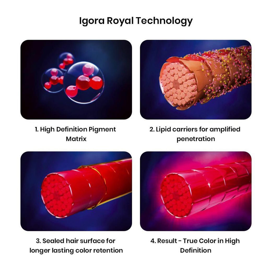 Schwarzkopf Professional Igora Royal Absolutes Permanent Anti-Age Color Creme (4-60 Medium Brown Auburn Natural)